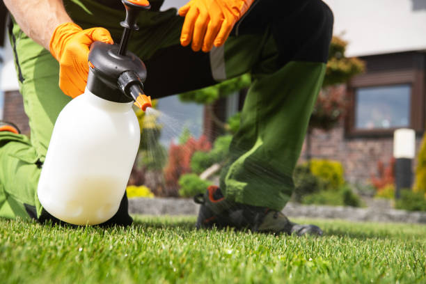 Reliable Landisville, PA Pest Control Solutions